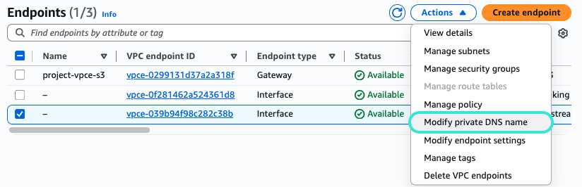 Select Modify private DNS name