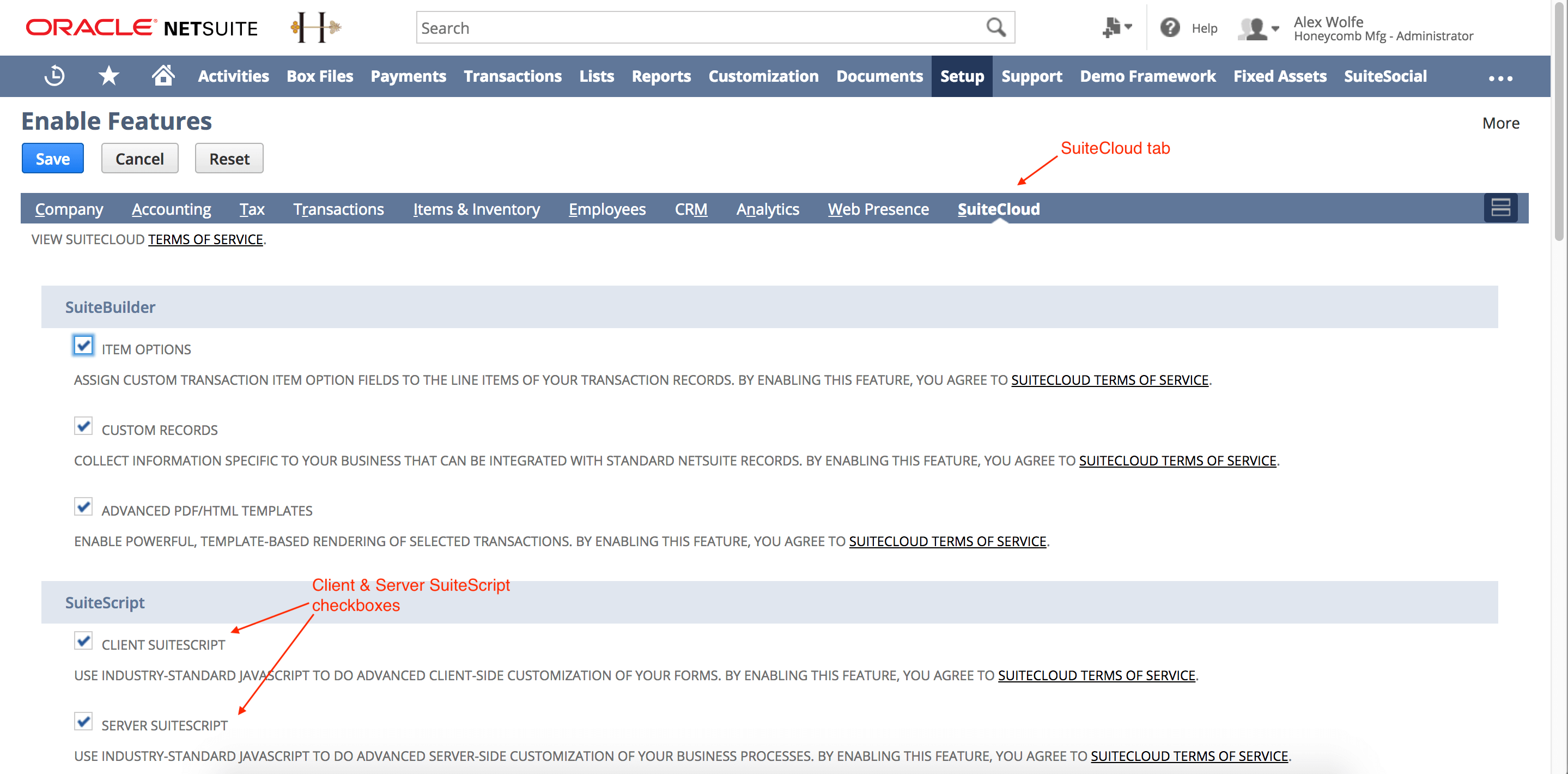 Check the Client SuiteScript and Server SuiteScript checkboxes