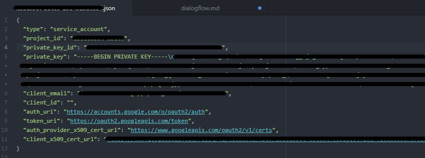 JSON private key in a text editor